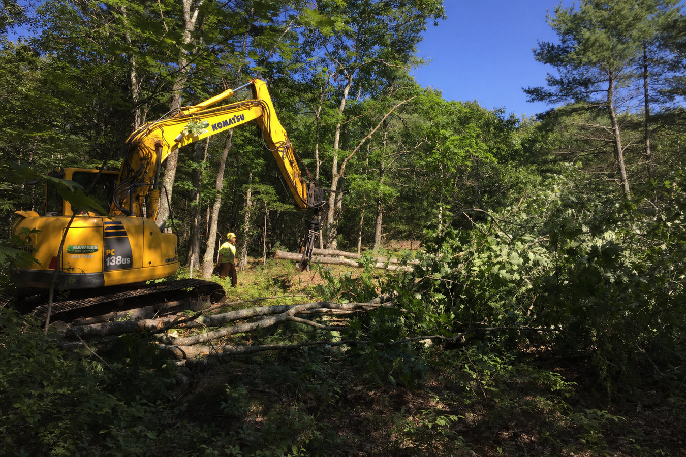 Land clearing in Hollister, CA