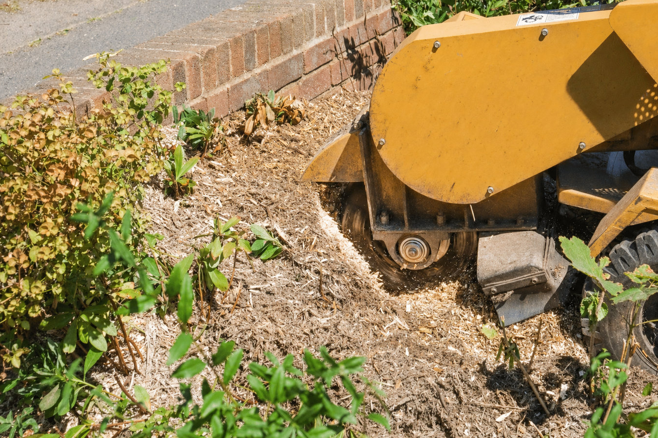 Stump grinding in Hollister, CA